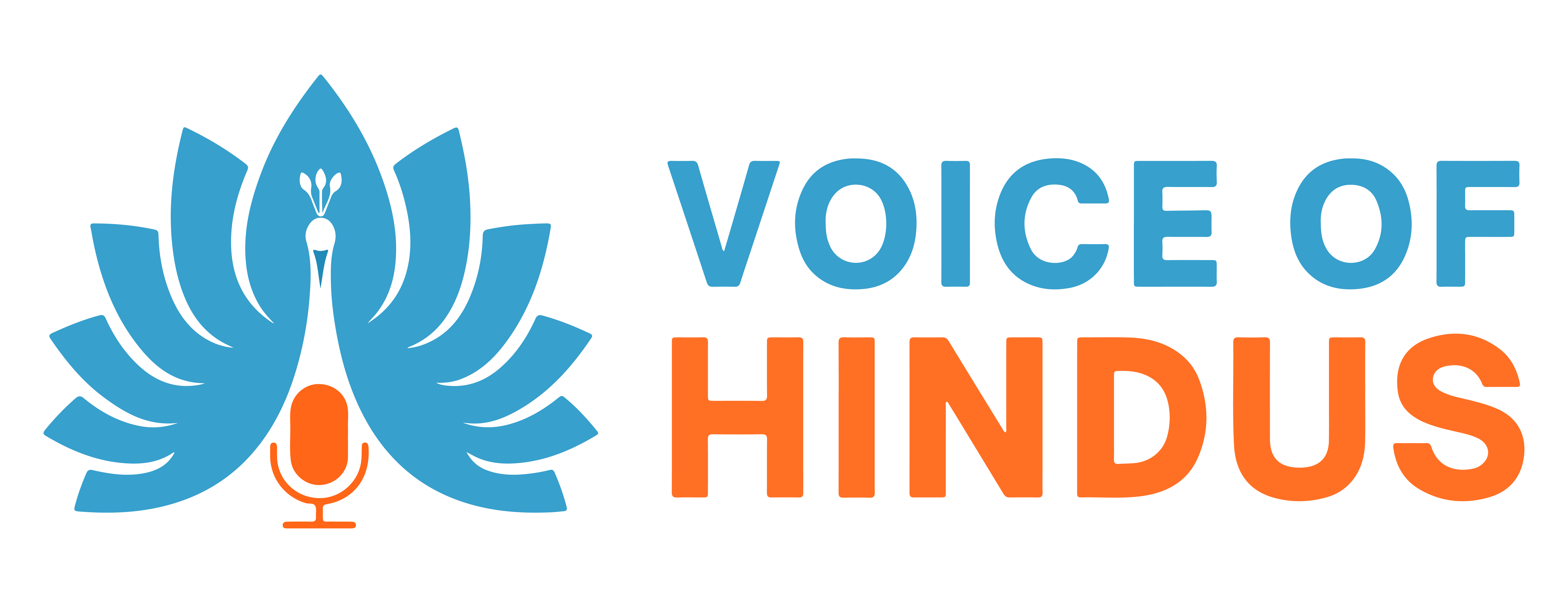 what-we-do-voice-of-hindus
